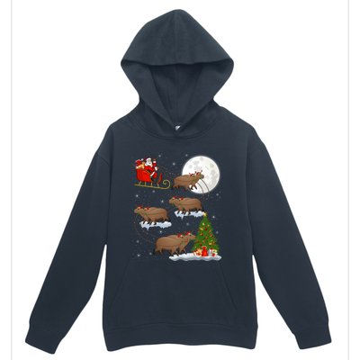 Funny Xmas Lighting Tree Santa Riding Capybara Christmas Gift Urban Pullover Hoodie