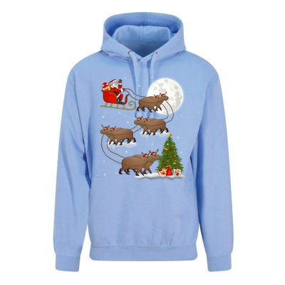 Funny Xmas Lighting Tree Santa Riding Capybara Christmas Gift Unisex Surf Hoodie