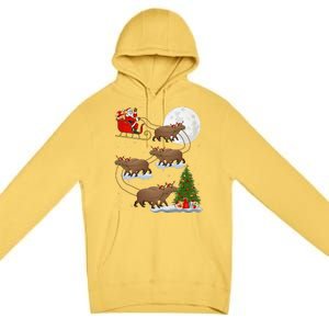 Funny Xmas Lighting Tree Santa Riding Capybara Christmas Premium Pullover Hoodie