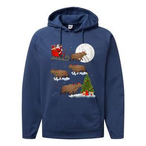 Funny Xmas Lighting Tree Santa Riding Capybara Christmas Performance Fleece Hoodie