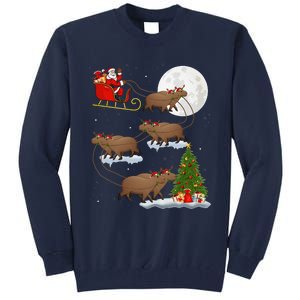 Funny Xmas Lighting Tree Santa Riding Capybara Christmas Tall Sweatshirt