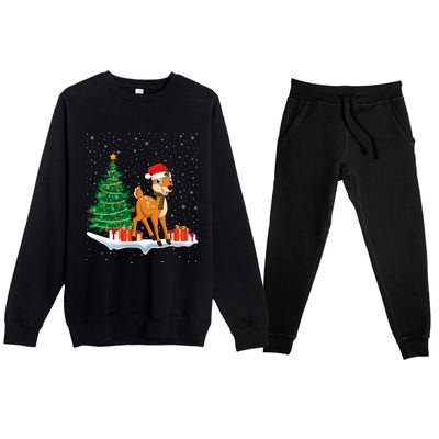 Funny Xmas Lighting Tree Santa Hat Cute Deer Christmas Funny Gift Premium Crewneck Sweatsuit Set