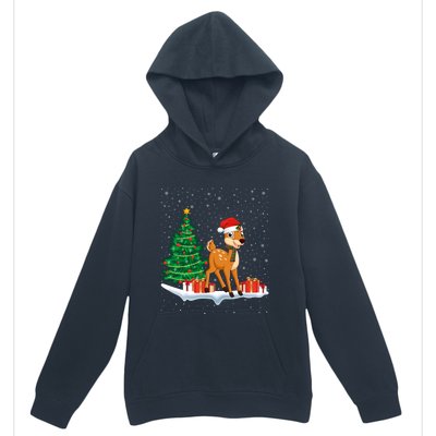 Funny Xmas Lighting Tree Santa Hat Cute Deer Christmas Funny Gift Urban Pullover Hoodie