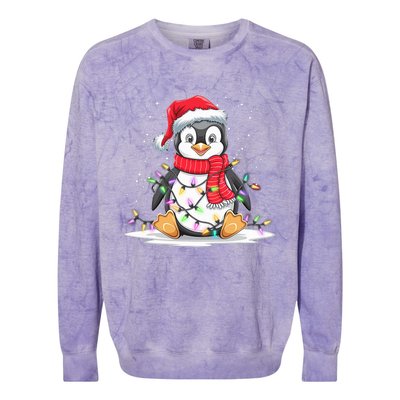 Funny Xmas Matching Santa Hat Penguin Christmas Tree Lights Colorblast Crewneck Sweatshirt