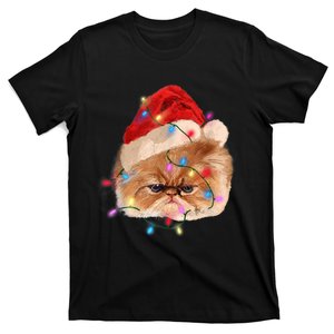 Funny Xmas Persian Cat Christmas Lights Adorable Face Fluffy TShirt T-Shirt