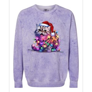 Funny Xmas Persian Cat Christmas Lights Santa Xmas Birthday Colorblast Crewneck Sweatshirt