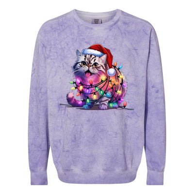 Funny Xmas Persian Cat Christmas Lights Santa Xmas Birthday Colorblast Crewneck Sweatshirt