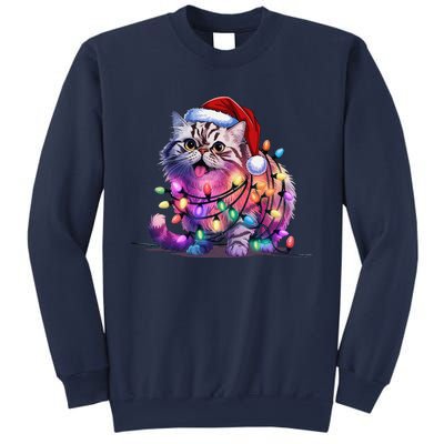 Funny Xmas Persian Cat Christmas Lights Santa Xmas Birthday Sweatshirt