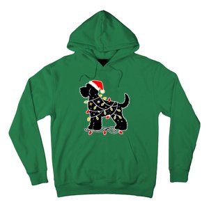 Funny Xmas Santa Puppy Dog Christmas Lights Gift Hoodie