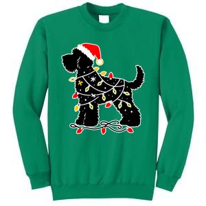 Funny Xmas Santa Puppy Dog Christmas Lights Gift Sweatshirt