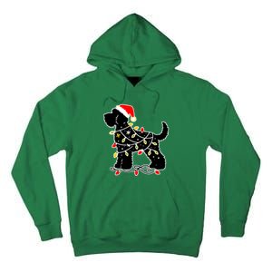 Funny Xmas Santa Puppy Dog Christmas Lights Gift Tall Hoodie