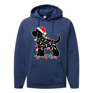 Funny Xmas Santa Puppy Dog Christmas Lights Gift Performance Fleece Hoodie