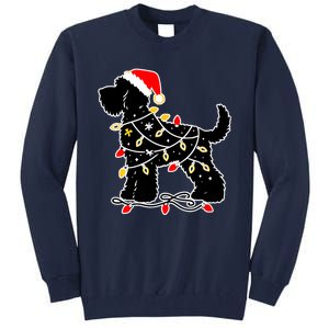 Funny Xmas Santa Puppy Dog Christmas Lights Gift Tall Sweatshirt