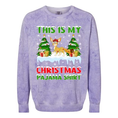 Funny Xmas Santa This Is My Fennec Fox Christmas Pajama Gift Colorblast Crewneck Sweatshirt