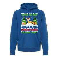 Funny Xmas Santa This Is My Fennec Fox Christmas Pajama Gift Premium Hoodie