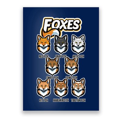 Foxes Of The World Fox Types Poster
