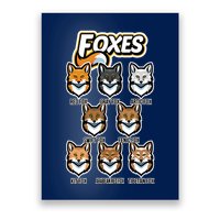 Foxes Of The World Fox Types Poster