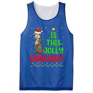 Funny Xmas Tree Is This Jolly Enough Sea Otter Christmas Cool Gift Mesh Reversible Basketball Jersey Tank