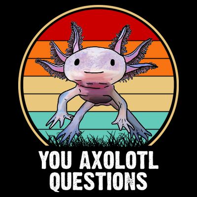 Funny You Axolotl Questions T-Shirt