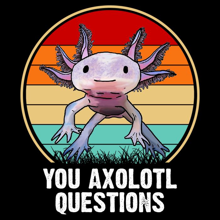 Funny You Axolotl Questions Tall T-Shirt