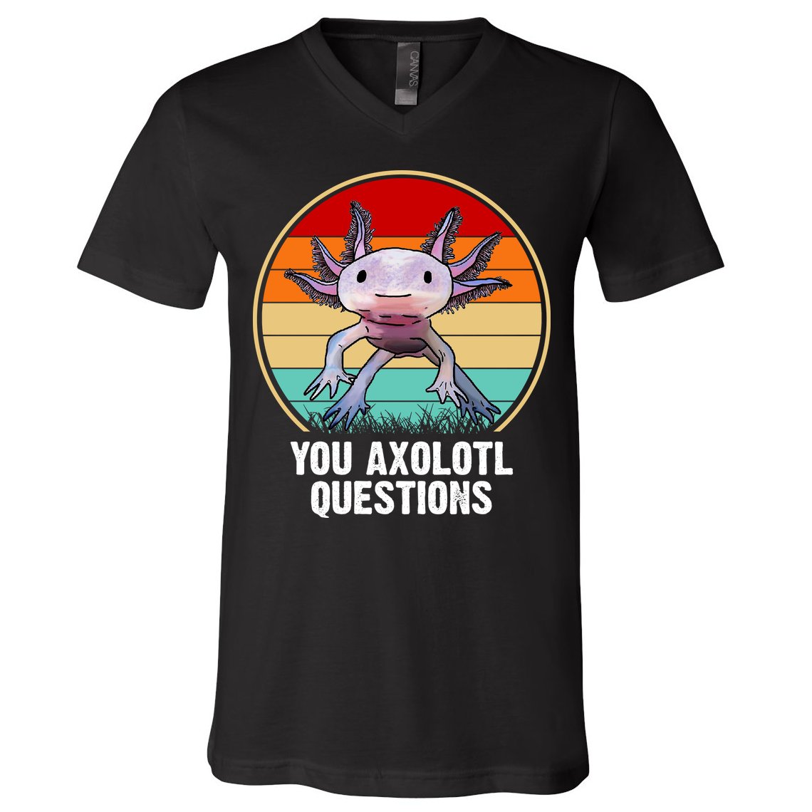 Funny You Axolotl Questions V-Neck T-Shirt