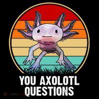 Funny You Axolotl Questions Poster