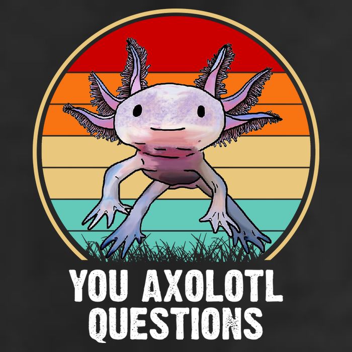 Funny You Axolotl Questions Microfiber Hand Towel