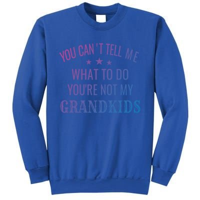 Fun You CanT Tell Me What To Do YouRe Not My Grand Gift Sweatshirt