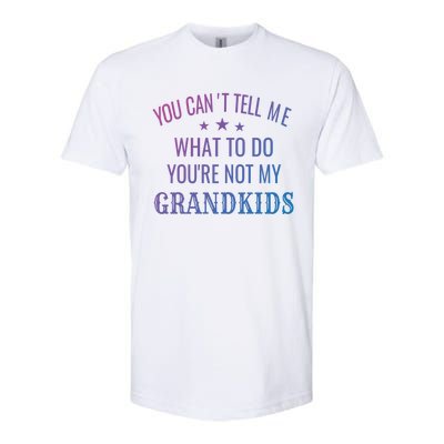 Fun You CanT Tell Me What To Do YouRe Not My Grand Gift Softstyle CVC T-Shirt