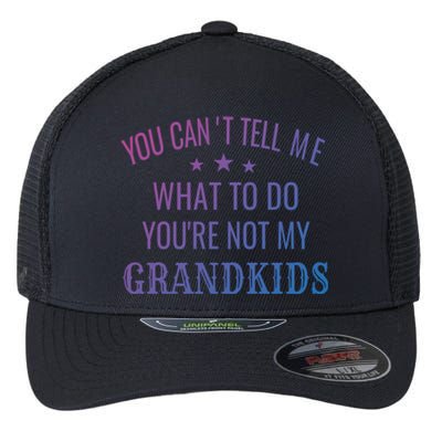 Fun You CanT Tell Me What To Do YouRe Not My Grand Gift Flexfit Unipanel Trucker Cap