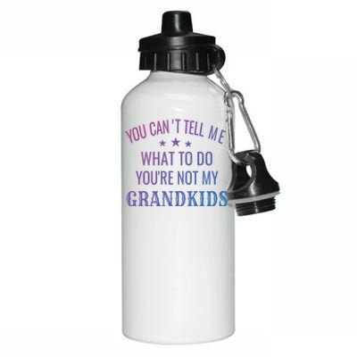 Fun You CanT Tell Me What To Do YouRe Not My Grand Gift Aluminum Water Bottle