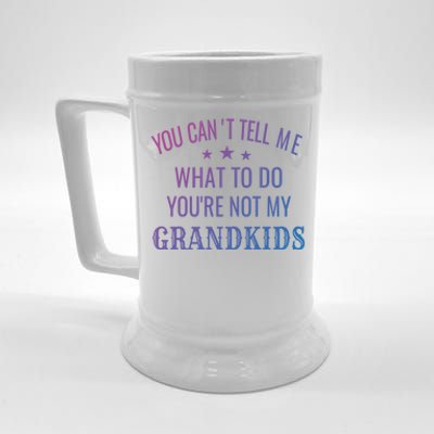 Fun You CanT Tell Me What To Do YouRe Not My Grand Gift Beer Stein