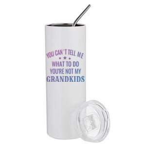 Fun You CanT Tell Me What To Do YouRe Not My Grand Gift Stainless Steel Tumbler