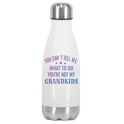 Fun You CanT Tell Me What To Do YouRe Not My Grand Gift Stainless Steel Insulated Water Bottle