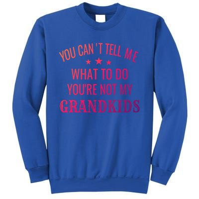 Fun You CanT Tell Me What To Do YouRe Not My Grand Gift Sweatshirt