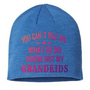 Fun You CanT Tell Me What To Do YouRe Not My Grand Gift Sustainable Beanie