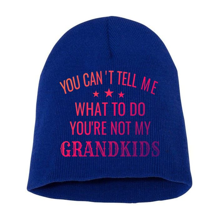 Fun You CanT Tell Me What To Do YouRe Not My Grand Gift Short Acrylic Beanie