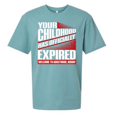 Funny Your Childhood Has Officially Expired Happy Birthday Sueded Cloud Jersey T-Shirt