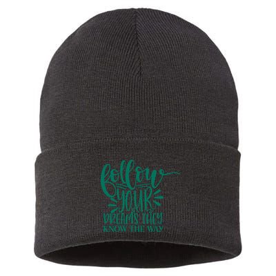 Follow Your Dreams They Know The Way Funny Sustainable Knit Beanie