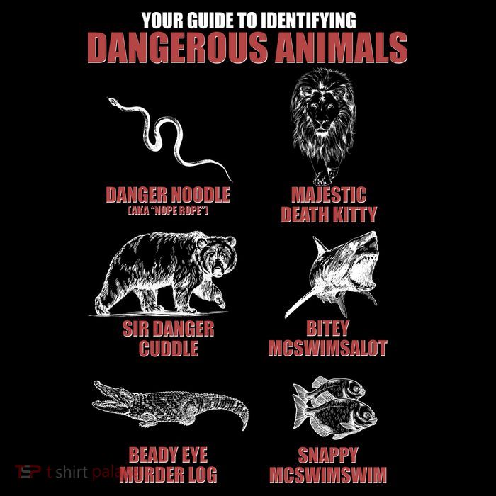 Funny Your Guide To Identifying Dangerous Animals Flexfit Unipanel Trucker Cap