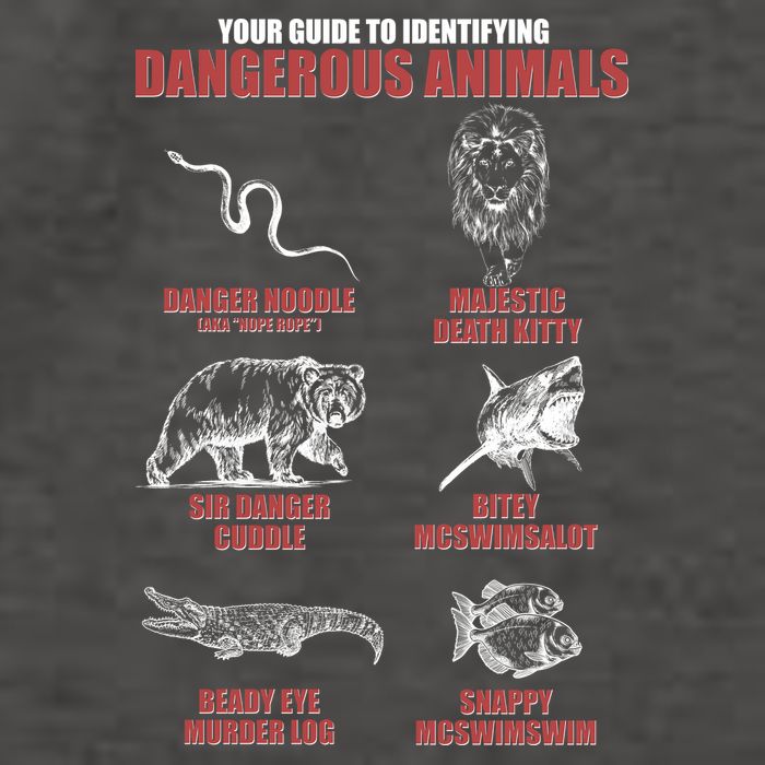 Funny Your Guide To Identifying Dangerous Animals Vector Backpack
