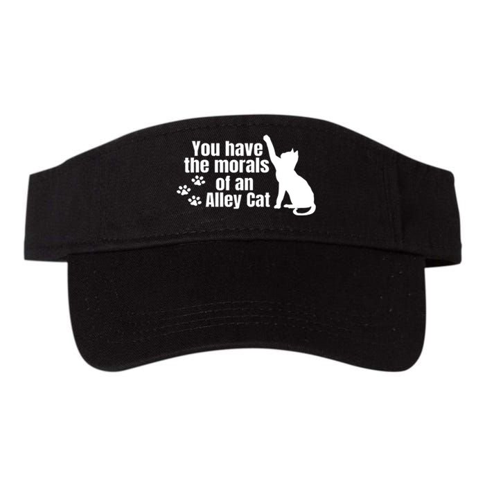 Funny You Have The Morals Of An Alley Cat Gift Valucap Bio-Washed Visor