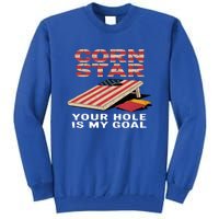 Funny Your Hole Is My Goal Design For Cornhole Game Lover Gift Tall Sweatshirt