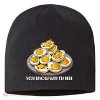 Funny You Know Why Im Here Deviled Eggs Thanksgiving Chirstmas Dinner Sustainable Beanie