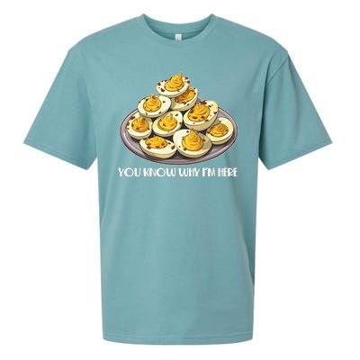 Funny You Know Why Im Here Deviled Eggs Thanksgiving Chirstmas Dinner Sueded Cloud Jersey T-Shirt