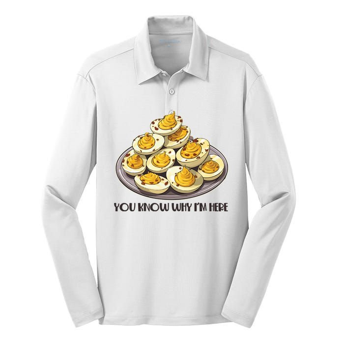 Funny You Know Why Im Here Deviled Eggs Thanksgiving Chirstmas Dinner Silk Touch Performance Long Sleeve Polo