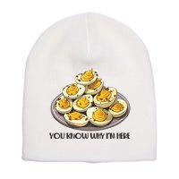 Funny You Know Why Im Here Deviled Eggs Thanksgiving Chirstmas Dinner Short Acrylic Beanie