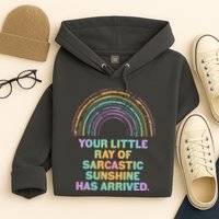 Funny Your Little Ray Of Sarcastic Sunshine Has Arrived Hoodie