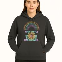 Funny Your Little Ray Of Sarcastic Sunshine Has Arrived Hoodie
