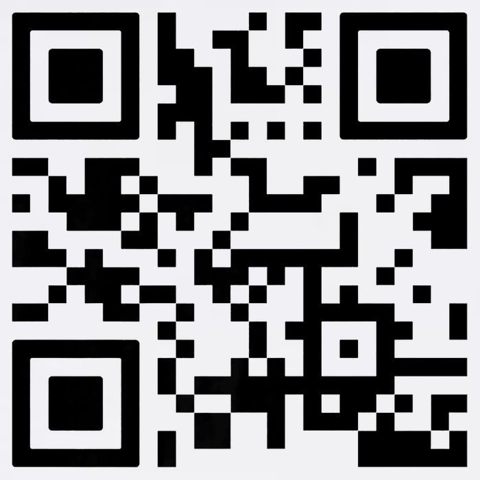 Fuck You Qr Code Polo